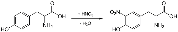 黃色蛋白反應酪氨酸發生硝化
