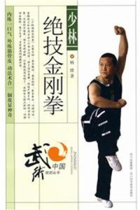 少林絕技金剛拳