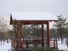 東壩郊野公園