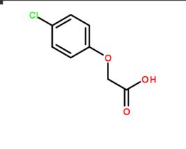 對氯苯氧乙酸