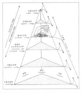 景觀生態學