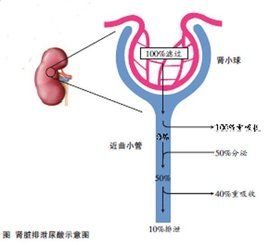 高乳酸血症