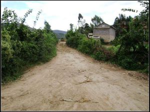 進村道路