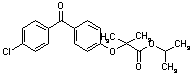 非諾貝特緩釋膠囊