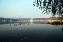東湖--江城無罟拍攝
