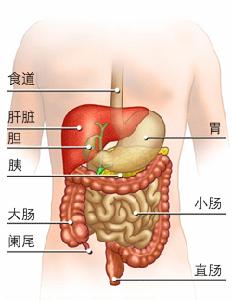 結直腸血管瘤