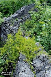 西溝村[陝西省漢中市略陽縣郭鎮西溝村]