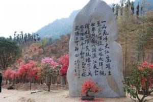 大別山映山紅生態文化大觀園