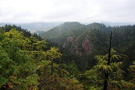 黎明鄉[雲南省寧洱縣黎明鄉]