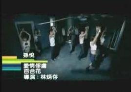 愛情俘虜[孫悅演唱歌曲]