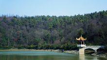 長坡嶺森林公園