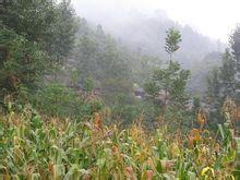 大河邊村[雲南省富源縣大河鎮銅廠村委會大河邊村]