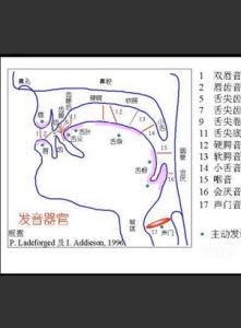 漢語拼音發音法