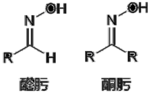 肟