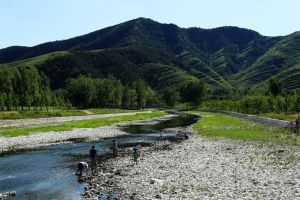 下岩村