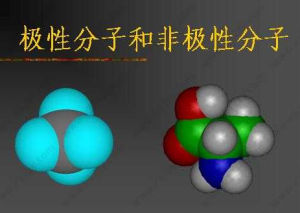 極性分子