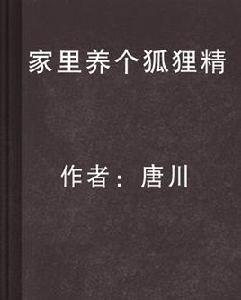 家裡養個狐狸精[唐川所著小說]