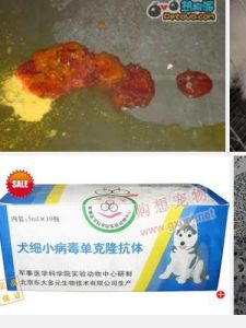 犬細小病毒