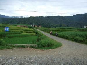 進村道路