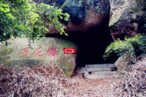 麥斜岩梅花洞