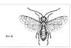 松扁葉蜂
