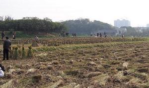 溪口三村[廣東潮州市湘橋區磷溪鎮下轄村]