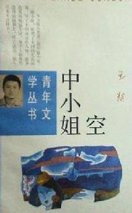 空中小姐[王朔中篇小說]