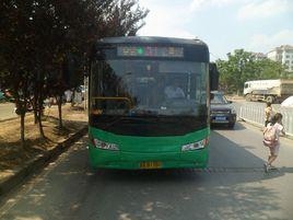 南昌公交31路 南昌公交31路