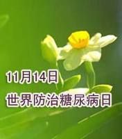 11月14日