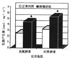 有氧糖酵解