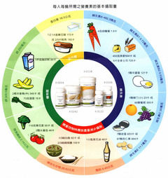 體重管理飲食計畫