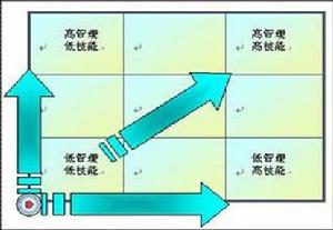 個體職業發展模型