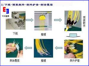 生產流程圖