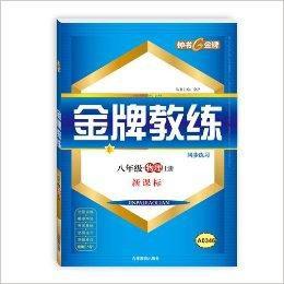 金牌教練：物理9年級上