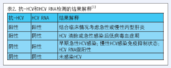 C型肝炎病毒