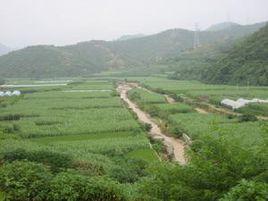 羊毛沖村[雲南省昆明市尋甸縣功山鎮下轄村]