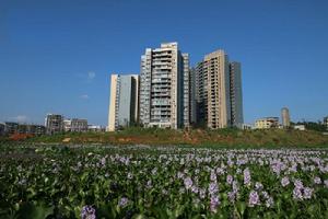 觀音鎮[四川省宜賓市敘州區觀音鎮]