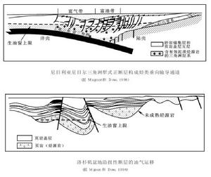 輸導體