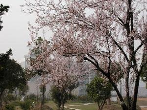 麗水學院