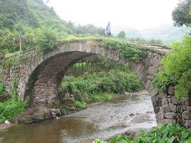 桃源村[浙江省紹興市新昌縣南明街道下轄村]