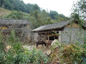 平溝自然村