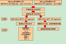 阿甘定聯用賀甘定最佳化治療方案