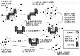 絡合