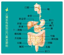 三清茶除口臭