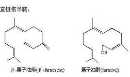 萜類化合物[烴類及其含氧衍生物]