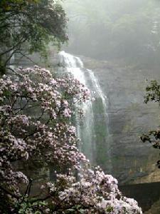 雷公山國家級森林公園