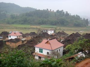 東良大村