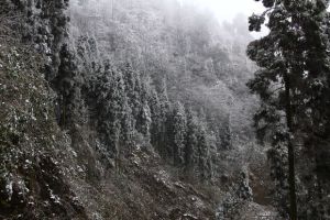 九龍仙山