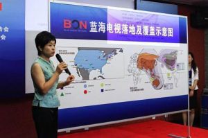 BON藍海電視旗下擁有英文電視台（BON TV）、英文視頻通訊社（BON Video）和英文節目製作實體（BON Production）。