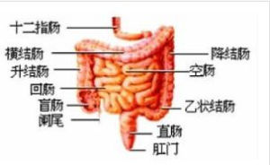 結腸癌